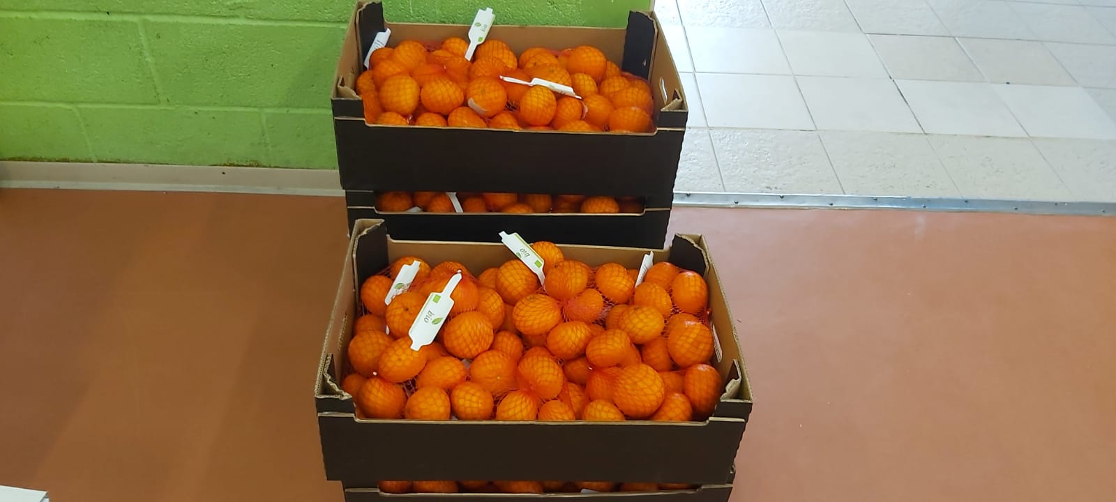 Segundo reparto de frutas del Programa de Hábitos Saludables AMPA Albahaca Segundo reparto de frutas del Programa de Hábitos Saludables AMPA Albahaca