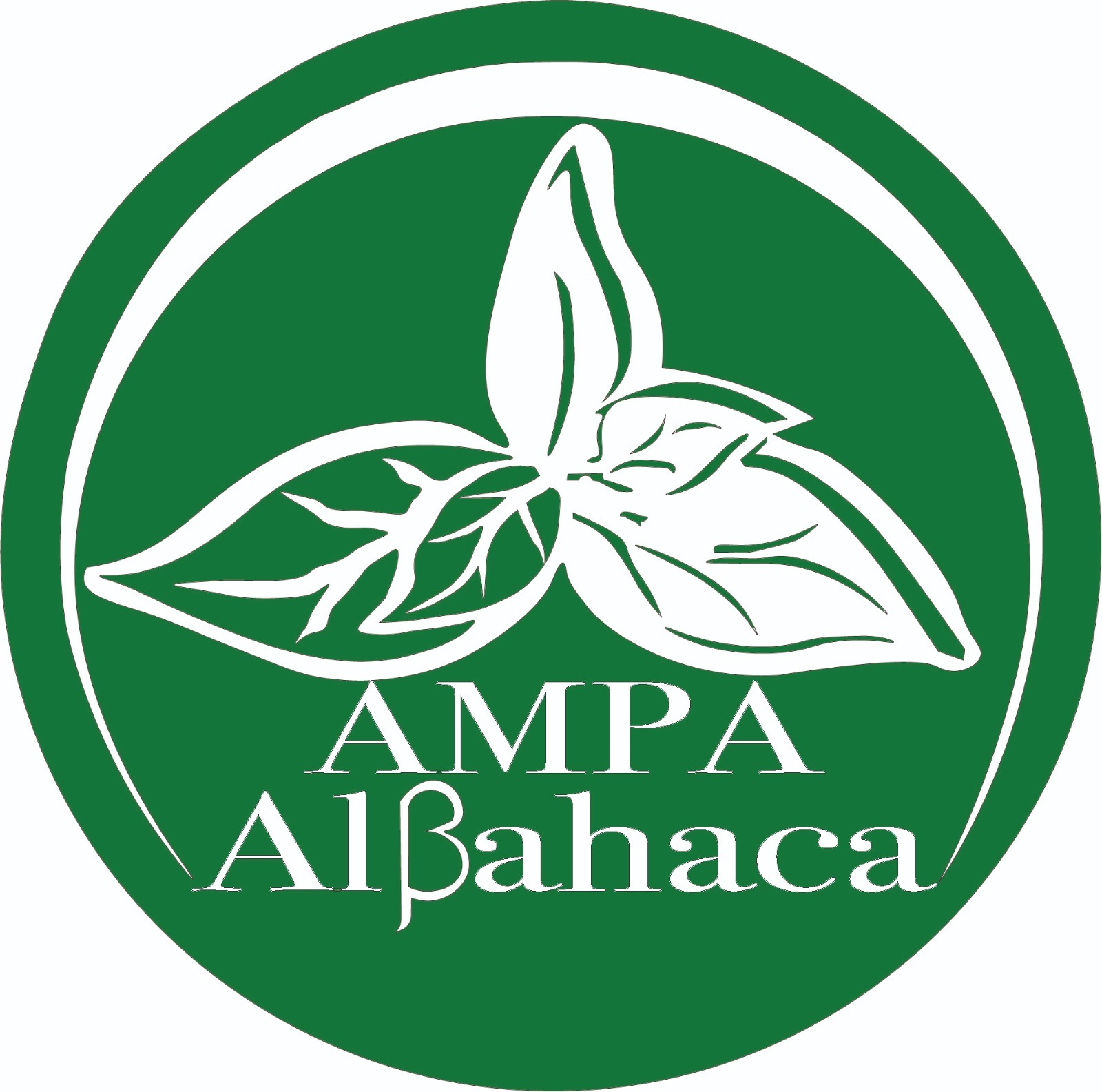 AMPA Albahaca